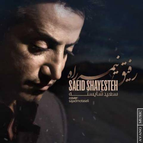Saeed Shayesteh